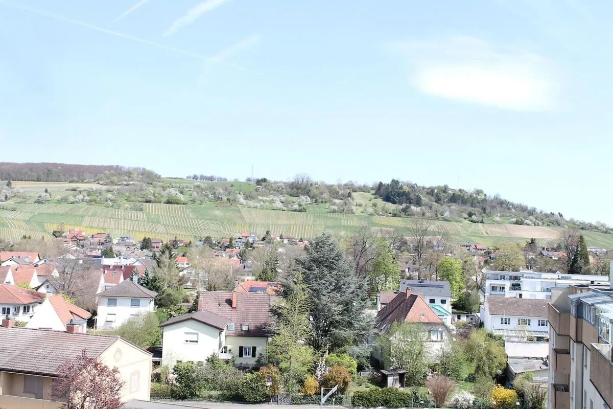 Basel Fair - Amazing Penthouse with stunning views