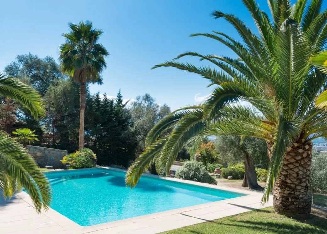 Elegant Palms Villa with Sea Views Near Calvi