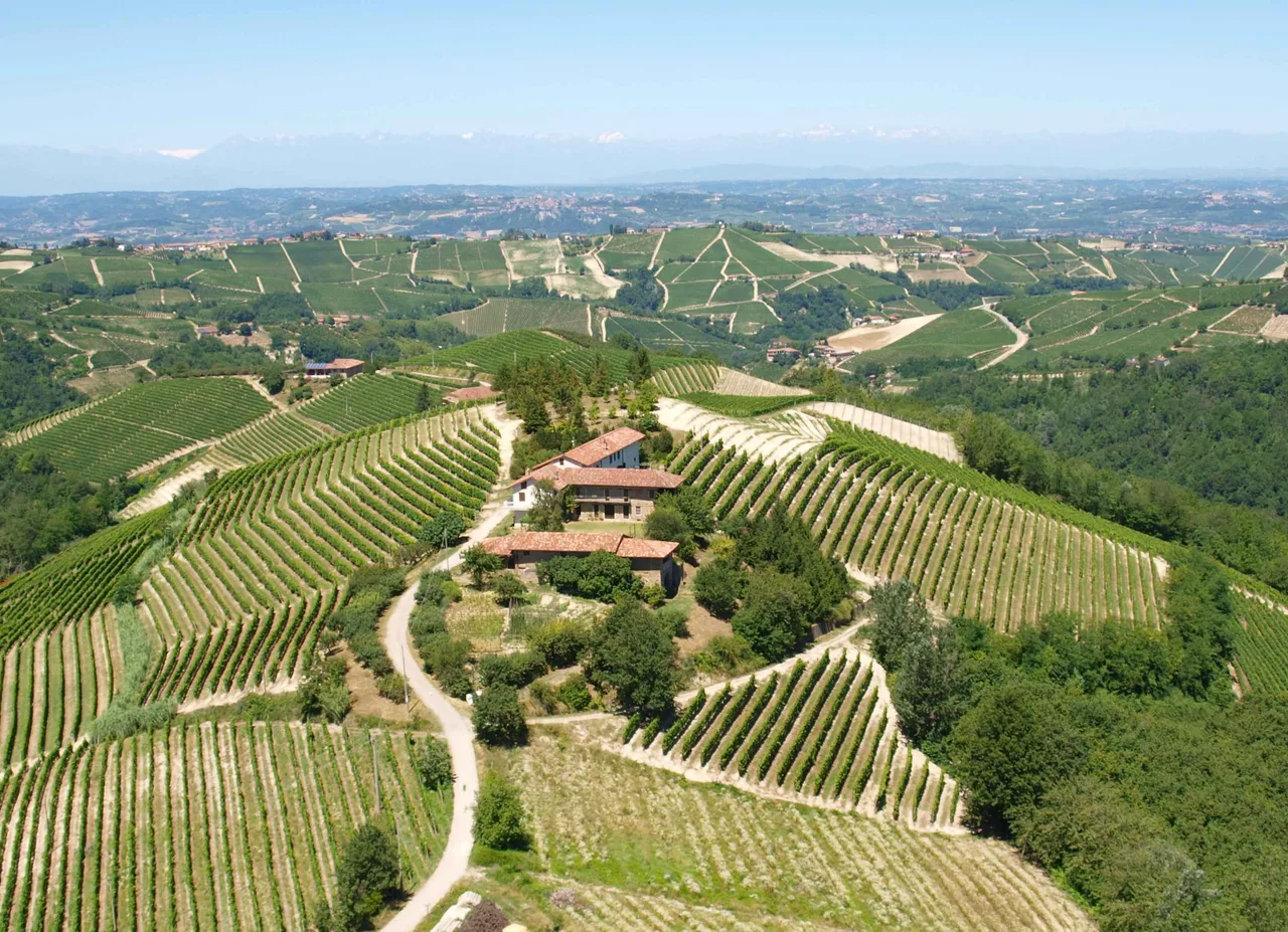 Private Vineyard Estate in Alba