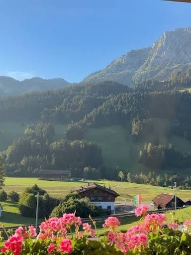 A green alpine valley and mountains in late summer, seen past a balcony of pink geraniums